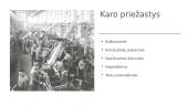 Pirmasis pasaulinis karas (priežastys, eiga, padariniai) 4 puslapis