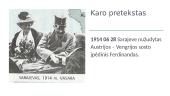 Pirmasis pasaulinis karas (priežastys, eiga, padariniai) 8 puslapis
