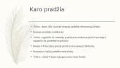 Pirmasis pasaulinis karas (priežastys, eiga, padariniai) 9 puslapis