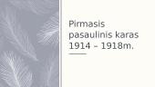 Pirmasis pasaulinis karas (priežastys, eiga, padariniai) 10 puslapis