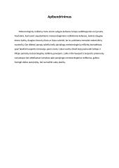 Stichiniai šiltojo ir šaltojo periodo meteorologiniai reiškiniai 11 puslapis