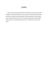 Stichiniai šiltojo ir šaltojo periodo meteorologiniai reiškiniai 2 puslapis