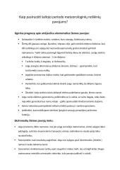 Stichiniai šiltojo ir šaltojo periodo meteorologiniai reiškiniai 5 puslapis