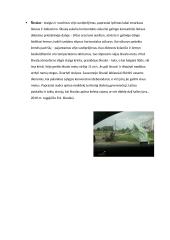 Stichiniai šiltojo ir šaltojo periodo meteorologiniai reiškiniai 8 puslapis