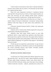 Klasikinės orgvadybinės teorijos 5 puslapis