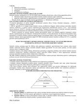 Visuotinės kokybės valdymas 7 puslapis