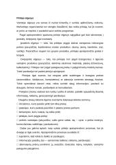 Komercinė veikla. Prekių gyvavimo ciklas. Reklama 7 puslapis