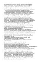 Kompiuteriniai nusikaltimai - viskas, ką reikia žinoti 11 puslapis