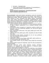 Kompiuterio schemos 8 puslapis