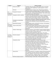 Kompiuterių istorija 8 puslapis