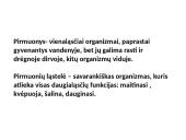 Protistai (skaidrės) 5 puslapis