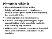 Protistai (skaidrės) 9 puslapis