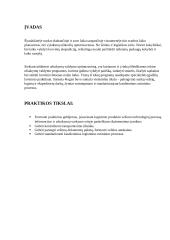 Logistikos praktikos ataskaita 2 puslapis