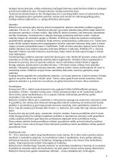 Kanonų teisės sisteminimas viduramžiais 4 puslapis