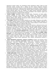 Komunikacijos ir informacijos paskaitų medžiaga 14 puslapis