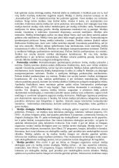 Komunikacijos ir informacijos paskaitų medžiaga 15 puslapis