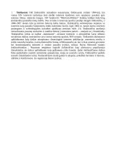 Komunikacijos ir informacijos paskaitų medžiaga 17 puslapis