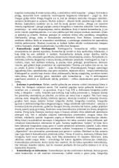 Komunikacijos ir informacijos paskaitų medžiaga 4 puslapis