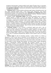 Komunikacijos ir informacijos paskaitų medžiaga 8 puslapis