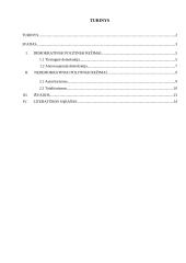 Politiniai režimai (referatas)