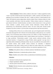 Politiniai režimai (referatas) 2 puslapis