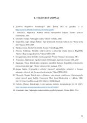 Politiniai režimai (referatas) 13 puslapis