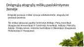Atogrąžų miškai 2 puslapis