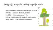 Atogrąžų miškai 5 puslapis
