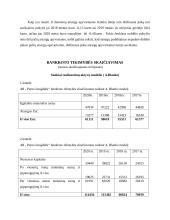 AB “Pieno žvaigždės” finansinis vertinimas 12 puslapis