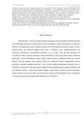 Naujos paslaugos įvedimas į rinką, rinkodaros planas. 12 puslapis