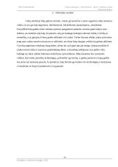 Naujos paslaugos įvedimas į rinką, rinkodaros planas. 13 puslapis