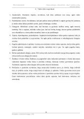 Naujos paslaugos įvedimas į rinką, rinkodaros planas. 15 puslapis