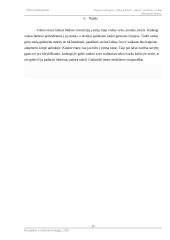 Naujos paslaugos įvedimas į rinką, rinkodaros planas. 16 puslapis