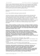 Naujos paslaugos įvedimas į rinką, rinkodaros planas. 8 puslapis