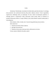 Darbo vertybių vieta ir kaita skirtingų darbuotojų kartų kontekste 4 puslapis