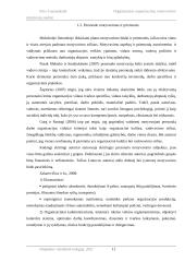 Organizacijos organizacinių motyvavimo priemonių analizė 10 puslapis