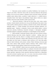 Organizacijos organizacinių motyvavimo priemonių analizė 20 puslapis