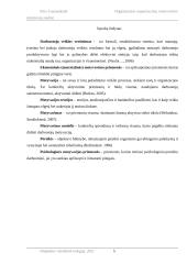 Organizacijos organizacinių motyvavimo priemonių analizė 4 puslapis