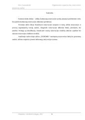 Organizacijos organizacinių motyvavimo priemonių analizė 5 puslapis