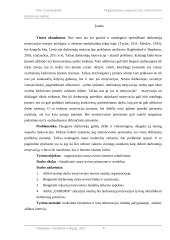 Organizacijos organizacinių motyvavimo priemonių analizė 6 puslapis