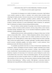 Organizacijos organizacinių motyvavimo priemonių analizė 7 puslapis