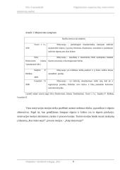 Organizacijos organizacinių motyvavimo priemonių analizė 8 puslapis