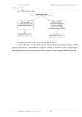 Organizacijos organizacinių motyvavimo priemonių analizė 9 puslapis