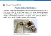 Dekoratyvinių vištų auginimas, jų panaudojimo galimybės žmonių reabilitacijai ir rekreacijai  16 puslapis