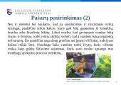 Dekoratyvinių vištų auginimas, jų panaudojimo galimybės žmonių reabilitacijai ir rekreacijai  19 puslapis