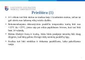 Dekoratyvinių vištų auginimas, jų panaudojimo galimybės žmonių reabilitacijai ir rekreacijai  6 puslapis