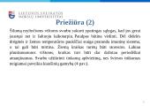 Dekoratyvinių vištų auginimas, jų panaudojimo galimybės žmonių reabilitacijai ir rekreacijai  7 puslapis