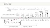 Muzikos notacijos pagrindai 11 puslapis