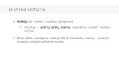 Muzikos notacijos pagrindai 3 puslapis