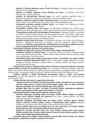 Kreditas ir palūkanos 7 puslapis